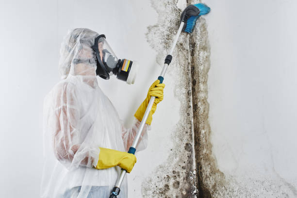 Best Residential Mold Inspection & Testing  in Newington, VA